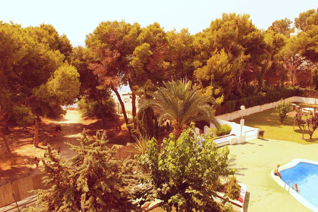 Coveta Apartment El Campello