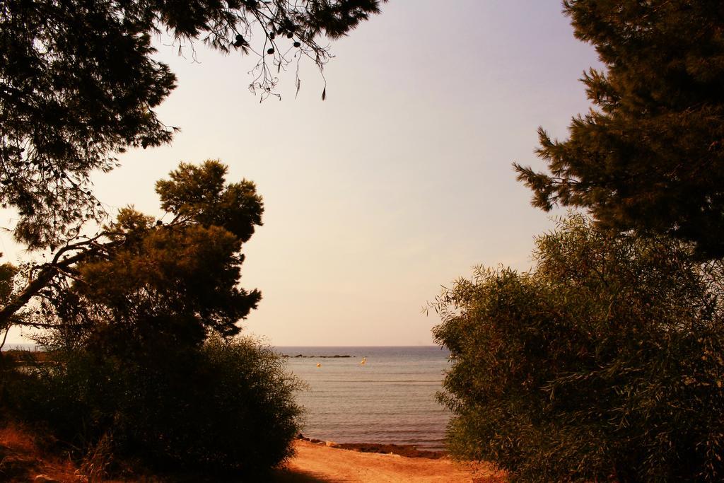 Coveta *